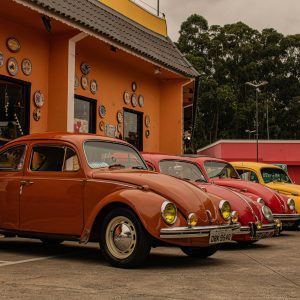 A Row Of Colorful Vintage Beetle Cars Parked Beside An Orange Building, Showcasing Classic Automotive Design.