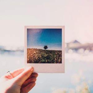 A Hand Holds A Polaroid Picture Against A Blurred, Sunlit Summer Landscape, Creating A Beautiful Contrast.