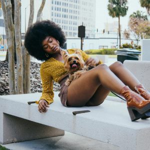 Fashionable Woman With Afro And Dog Sitting On A Bench In A City Park, Exuding Style And Relaxation.
