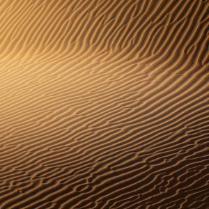 Mesmerizing Close Up Of Golden Sand Dunes Highlighting Intricate Patterns And Textures.