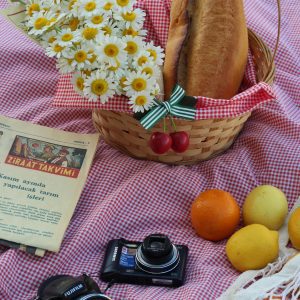 A Picnic Basket With Bread, Flowers, And Cameras On A Red Checkered Blanket.
