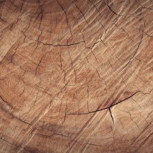 Detailed Close Up Of Rustic Brown Wood Texture, Revealing Natural Grain And Cracks.