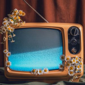 Retro Television Adorned With Daisies, Symbolizing Nostalgia And Nature.