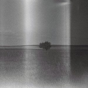 A Solitary Tree Stands In The Middle Of A Vast Field, Captured In Black And White Film.