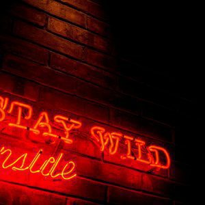 A Vibrant Neon Sign With The Words 'Stay Wild' Glowing On A Brick Wall, Creating A Moody Nighttime Ambiance.