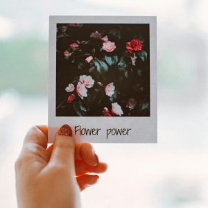 A Hand Holding A Polaroid Photo Of Vibrant Roses With 'Flower Power' Text.