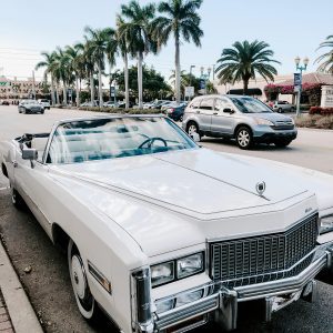 Classic White Convertible Parked Under Palm Trees In A Sunny Street, Capturing Vintage Automotive Charm.