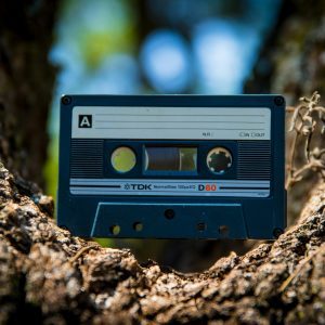 Retro Cassette Tape Resting In A Tree Crevice Under Sunlight, Showcasing Technology Nostalgia.