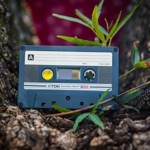 Close Up Of A Vintage Cassette Tape Surrounded By Tree Bark And Grass Outdoors.