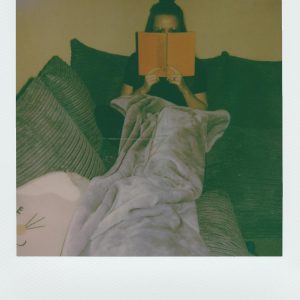 A Woman Sits On A Sofa With A Blanket, Absorbed In Reading A Book.
