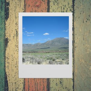 A Vibrant Landscape Photo Framed In A Classic Polaroid Style Against A Rustic, Textured Wooden Background.