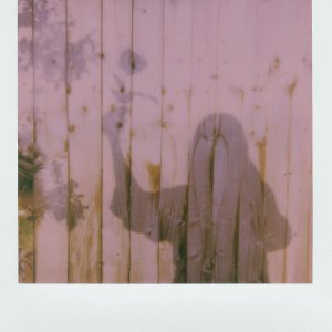 Shadow Of A Person Holding A Flower Cast On A Sunlit Wooden Fence In A Dreamy, Artistic Style.