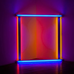 Colorful Neon Light Installation Creating A Modern Abstract Art Piece In An Indoor Gallery Setting.