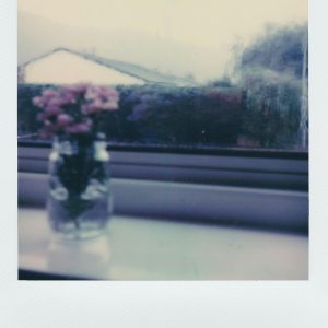 Blurred Polaroid Capturing Flowers In A Glass Vase On A Window Sill With A Scenic View.