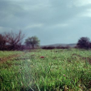 Free Stock Photo Of 35mm, 35mmfilm, 35mmphotography