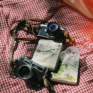 Two Vintage Cameras And A Tolkien Book On A Red Checkered Picnic Blanket In Sunlight.