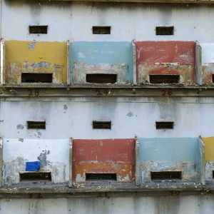 Rustic Pigeon Cote With Weathered Multicolored Doors In An Outdoor Setting Showcasing Vintage Charm.