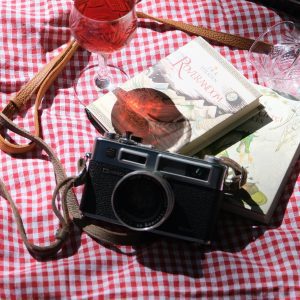 Top View Of A Retro Camera, Books, And Wine Glass On A Red Checkered Blanket.