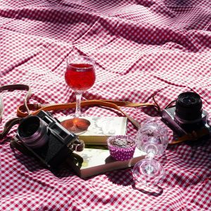 Charming Picnic Setup With Vintage Cameras, Wine, And Books On A Checkered Blanket.