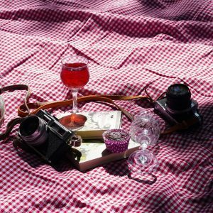 Artistic Picnic Setting With Cameras, Wine, And Cupcakes On A Red Checkered Blanket. Perfect For Lifestyle Themes.