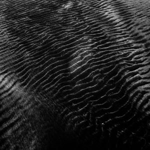 Abstract Black And White Photo Of Sand Texture With Ripples Creating A Mesmerizing Pattern.