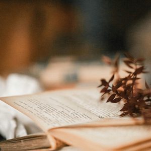 A Vintage Open Book With Delicate Depth Of Field And Foliage, Conveying An Artistic Mood.