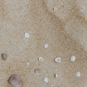 Close Up View Of Sandy Beach With Scattered Seashells And Pebbles, Perfect For Backgrounds.