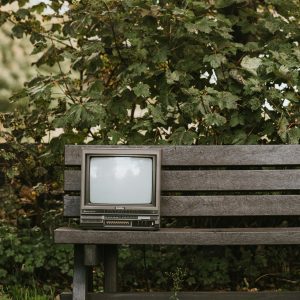 Small Old Fashioned Television Placed On Wooden Bench Near Deciduous Green Lush Plant In Park On Street On Blurred Background