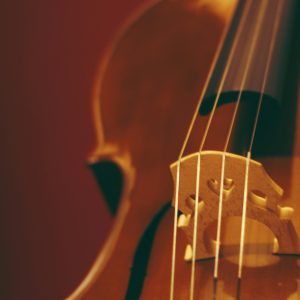 A Detailed Close Up Of A Violin Showing The Strings And Bridge, Highlighting Craftsmanship.
